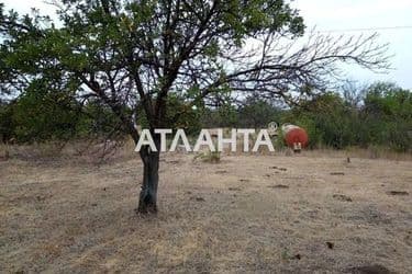 Landplot by the address st. Tsentralnaya (area 6 acr) - Atlanta.ua - photo 6