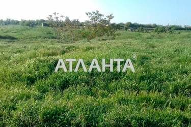 Участок (площадь 25 сот) - Atlanta.ua - imageAlt 5