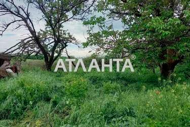 Участок (площадь 25 сот) - Atlanta.ua - imageAlt 8