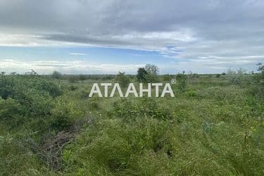 Landplot by the address st. Mayachnaya (area 8 acr) - Atlanta.ua - photo 6