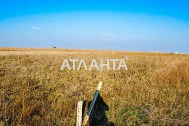 Landplot by the address st. Lilovyy per (area 6 acr) - Atlanta.ua - photo 8