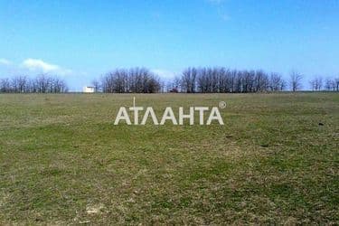 Landplot by the address st. Novoselov (area 25 acr) - Atlanta.ua - photo 5