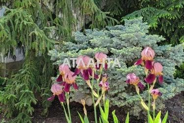 House by the address st. Fontanskaya dor Perekopskoy Divizii (area 550 m²) - photo 62 House by the address st. Fontanskaya dor Perekopskoy Divizii (area 550 m²) - Atlanta.ua - photo 62