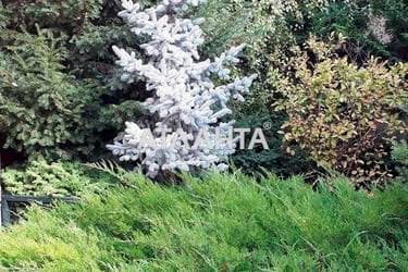 Дом по адресу Фонтанская дор. (площадь 160 м²) - Atlanta.ua - фото 58