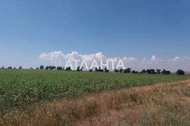 Landplot by the address (area 200 acr) - Atlanta.ua - photo 7