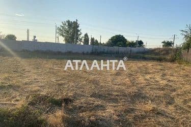 Landplot by the address st. Brizovaya (area 6,6 acr) - Atlanta.ua - photo 8