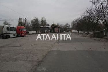 realty image 5