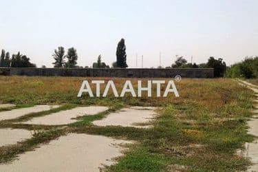 realty image 22