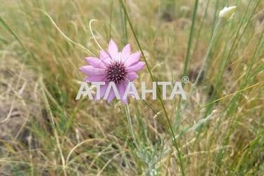 Landplot by the address st. Shirokaya (area 15 acr) - Atlanta.ua - photo 3
