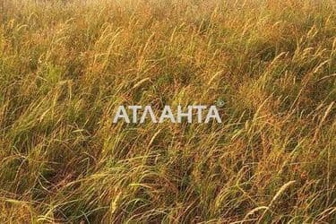 Landplot by the address st. Kurortnaya (area 7,5 acr) - Atlanta.ua - photo 11