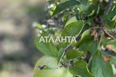 Landplot by the address st. Pobratimov (area 9 acr) - Atlanta.ua - photo 17