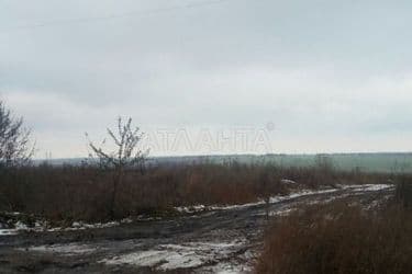 Landplot by the address st. Internatsionalnaya (area 8 acr) - Atlanta.ua - photo 5