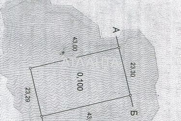 Landplot by the address st. Kashtanovaya (area 10 acr) - Atlanta.ua - photo 6