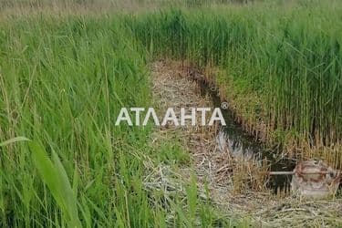 Landplot by the address st. Shevchenko (area 10 acr) - Atlanta.ua - photo 16