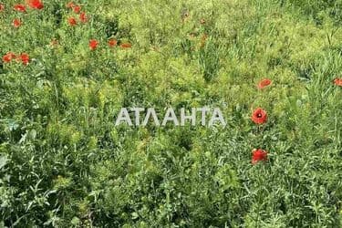 Landplot by the address st. Massiv 21 (area 4,4 acr) - Atlanta.ua - photo 8