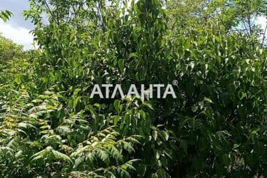 Landplot by the address st. Molodezhnaya (area 10 acr) - Atlanta.ua - photo 4