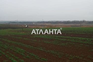 Landplot by the address st. Massiv 24 (area 10 acr) - Atlanta.ua - photo 9