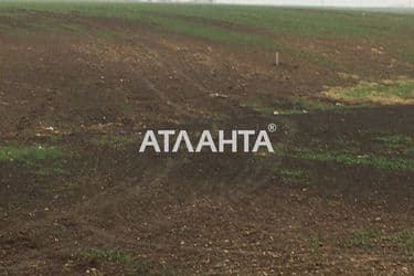 Landplot by the address st. Massiv 24 (area 10 acr) - Atlanta.ua - photo 10