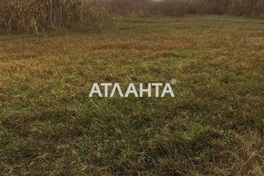Landplot by the address st. Massiv 24 (area 10 acr) - Atlanta.ua - photo 12