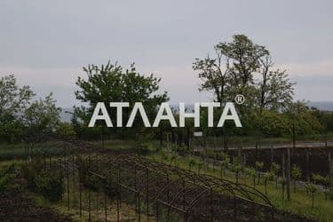 realty image 6