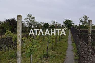 realty image 7