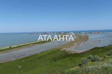 realty image 8