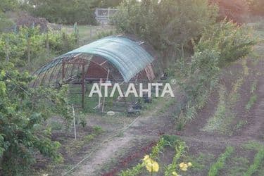 realty image 9
