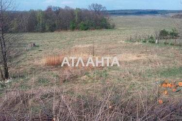 Участок по адресу ул. Центральная (площадь 25 сот) - Atlanta.ua - imageAlt 15