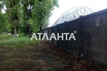 realty image 6