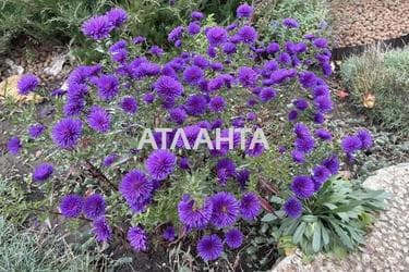 Dacha by the address st. Yanvarskaya 2 ya (area 125 m²) - Atlanta.ua - photo 17