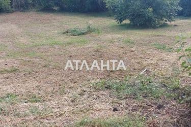 Landplot by the address st. Gagarina (area 12 acr) - Atlanta.ua - photo 19