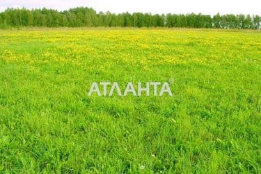 Landplot by the address st. Aleksandriyskaya (area 10 acr) - Atlanta.ua - photo 9