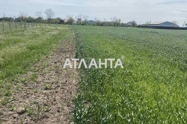 Landplot by the address st. Aleksandriyskaya (area 10 acr) - Atlanta.ua - photo 12