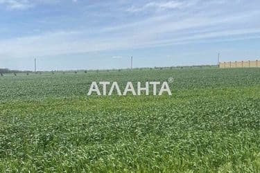 Landplot by the address st. Aleksandriyskaya (area 10 acr) - Atlanta.ua - photo 12