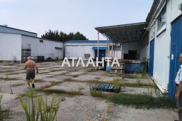 realty image 6