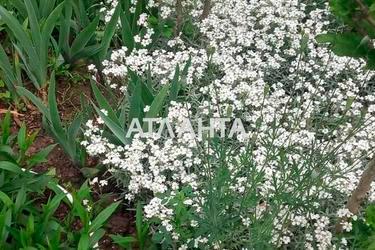 Landplot by the address st. Stroiteley (area 10 acr) - Atlanta.ua - photo 9