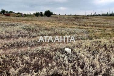 Landplot by the address (area 12 acr) - Atlanta.ua - photo 6