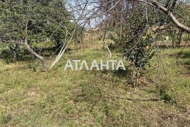 Landplot by the address (area 6 acr) - Atlanta.ua - photo 7