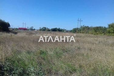 Landplot by the address st. Tsentralnaya (area 9,5 acr) - Atlanta.ua - photo 8