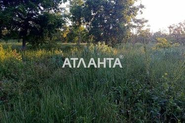Landplot by the address st. Massiv 21 (area 161 acr) - Atlanta.ua - photo 3