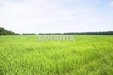 Landplot by the address (area 9,3 acr) - Atlanta.ua - photo 7