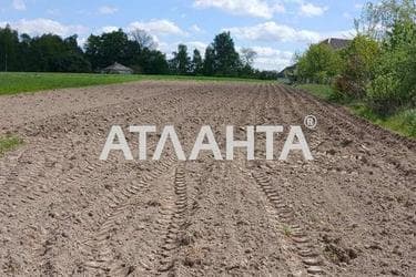 Landplot by the address (area 16 acr) - Atlanta.ua - photo 7