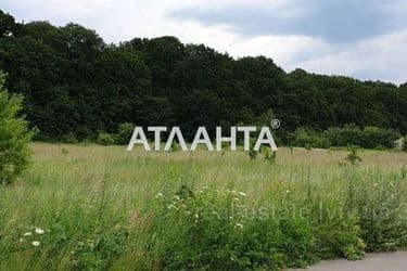 realty image 2