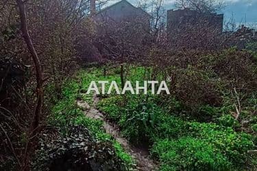 realty image 10