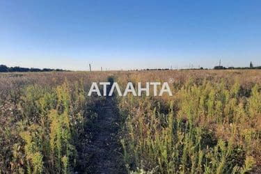 Landplot by the address st. Vesennyaya (area 7,7 acr) - Atlanta.ua - photo 6