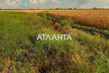 Landplot by the address st. Massiv 1 Velikiy Dalnik (area 25 acr) - Atlanta.ua - photo 9