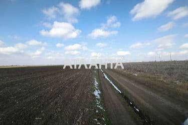 Landplot by the address st. Massiv 1 Velikiy Dalnik (area 25 acr) - Atlanta.ua - photo 12