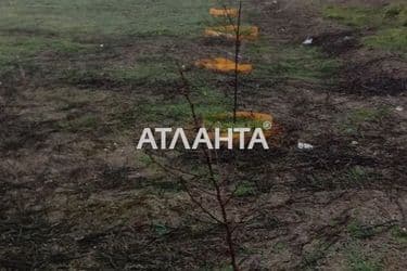 Landplot by the address (area 8 acr) - Atlanta.ua - photo 10