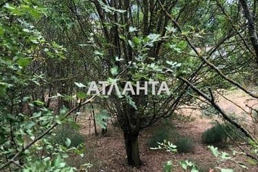 Landplot by the address (area 6 acr) - Atlanta.ua - photo 14