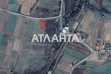 Landplot by the address st. Tsentralnaya (area 0,4 acr) - Atlanta.ua - photo 11